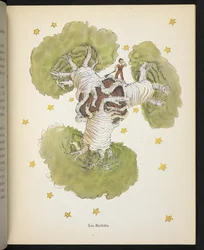 Die Baobabs, Illustration aus 