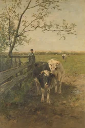 Die Milchkurve
