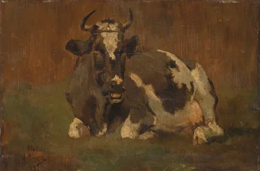 Liegende Kuh
