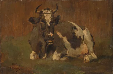 Liegende Kuh