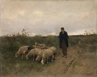 Schäfer und Schafe