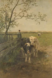 Die Milchbiegung