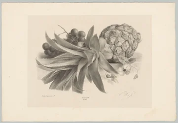 Ananas und Trauben