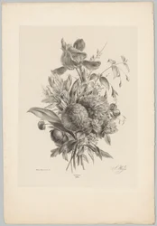 Nelken und Lilien