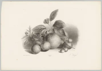 Blumen, Nektarinen und Haselnüsse