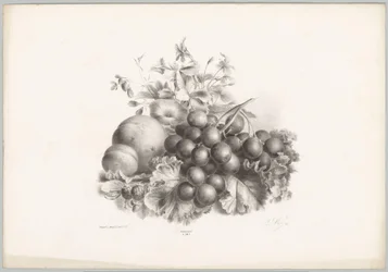 Blumen, Pfirsich, Nektarine, Trauben und Brombeeren