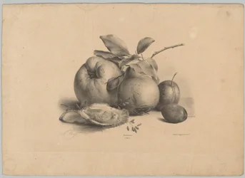 Früchte, Pflaumen und Austern (Blumen- und Fruchtstudien, 10. Folge)