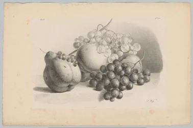 Kürbis, Beeren, Trauben und Pfirsiche