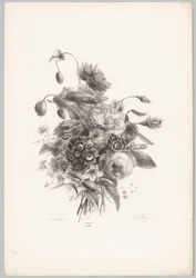 Rosen und andere Blumen