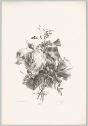 Rosen und kelchförmige Blumen