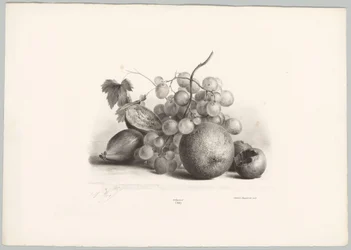 Feigen, Trauben und Orange