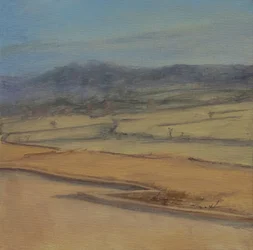 Zickzackhecke, Somerset, 2022