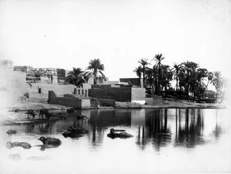 Luxor vom Nilboot aus gesehen