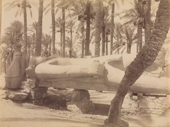Statue von Ramses in Saqqara