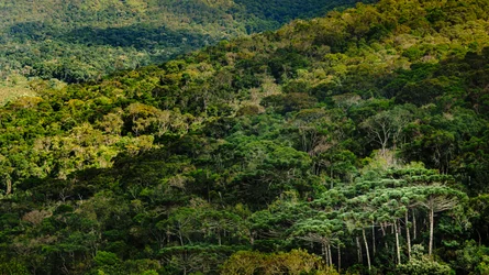 Mantiqueira LVIII, Brasilien