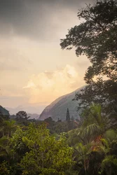 Serra dos Órgãos VIII, Petrópolis, Rio de Janeiro, Brasilien, 2025