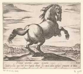 Steigendes Pferd nach rechts gewandt
