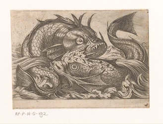 Zwei kämpfende Fische