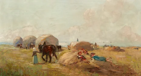 Heuernte