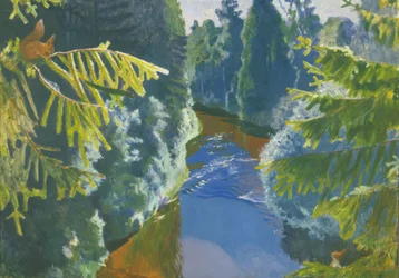 Waldfluss