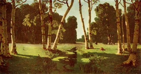 Ein Birkenwald