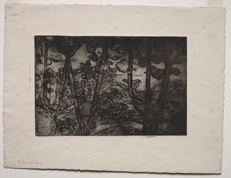 Bäume bei Nacht, ca. 1894