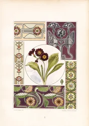 Primel-Motive und florale Ornamentvariationen