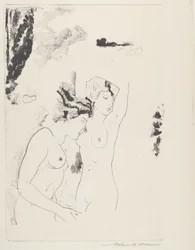 Nymphen des Baches