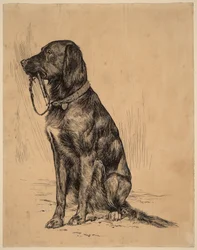 Aldrichs Hund, späte 1880er