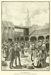 Der Käsemarkt