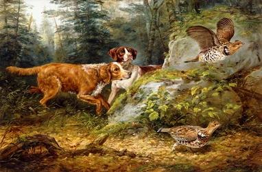 Aufgescheucht: Raufußhuhn-Jagd, 1857