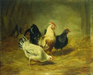 Geflügelfütterung