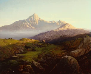 Hochlandrinder in einer bergigen Landschaft