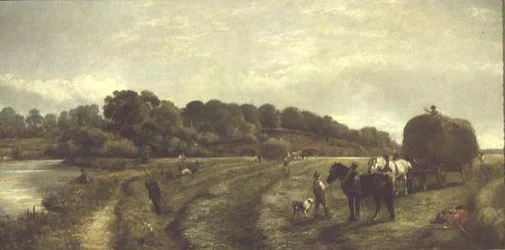 Heuernte