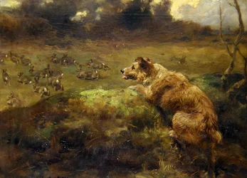 Kaninchenjäger