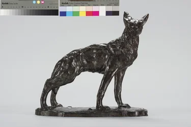 Wachsamer Kojote (Bronze)