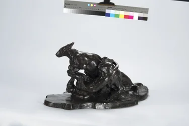 Känguru und Hund
