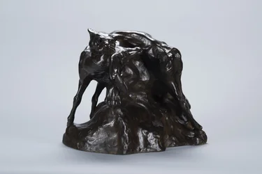 Puma trägt Hirschkadaver, ca. 1900