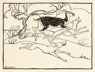 Becfola in ihrem Wagen aus The Wooing of Becfola in Irish Fairy Tales