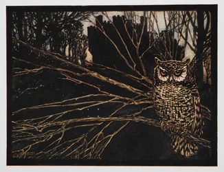 Illustration einer Eule aus 