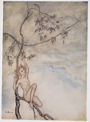 Fröhlich, fröhlich werde ich jetzt unter der Blüte leben, die am Ast hängt, Illustration aus William Shakespeares Der Sturm, veröffentlicht 1926