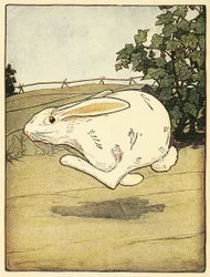 Peter hörte nie auf zu rennen, aus Die Geschichte von Peter Hase, veröffentlicht 1916 (Farblithografie)