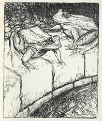 Die Frösche und der Brunnen, Illustration aus 