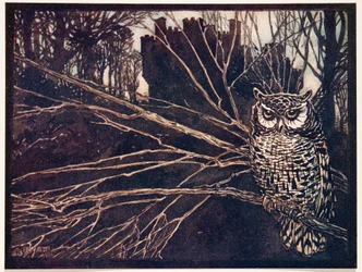 Oder eine Kreischeule, aus Die Märchen der Brüder Grimm, veröffentlicht 1909