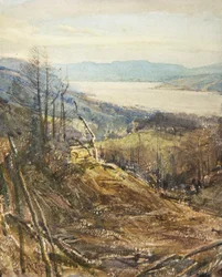 Coniston von Near Tarn Hows