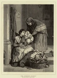 Ihre süßeste Blume