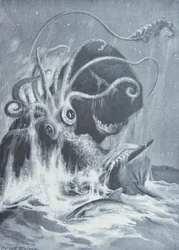 Der Kraken gegen Pottwale