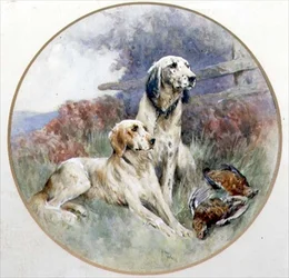 Ein Paar Setter bewachen ein Paar Moorhühner