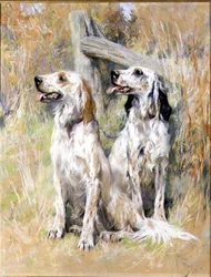 Englische Setter an einem Gatter