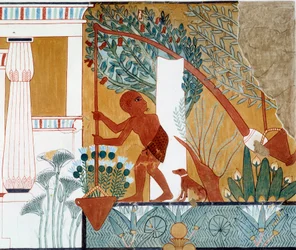 Kunst Ägypten: ein Schöpfbrunnen am Brunnen. Faksimile reproduziert aus dem Grab von d